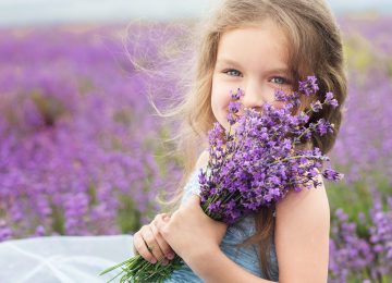 Portrait of happy little girl is in a lavender field holding bouquet of flowers
